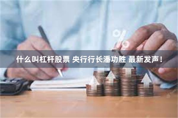 什么叫杠杆股票 央行行长潘功胜 最新发声！